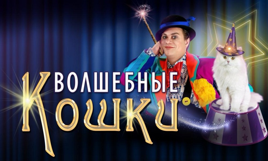 Театр кошек и Владимир Куклачёв (г. Рязань, МКЦ) Театр кошек и Владимир Куклачёв (г. Рязань, МКЦ)